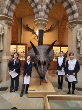 yr6 museum